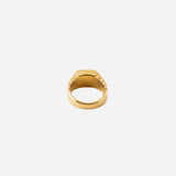 Gemstone Ribbed Ring in Gold
