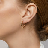 Talia Hoop Clip On Earrings in Gold