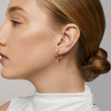 Talia Hoop Clip On Earrings in Gold
